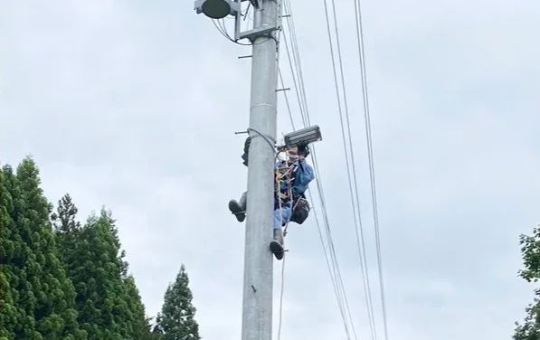 電柱での高所作業の様子